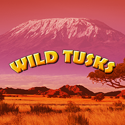 Wild Tusks