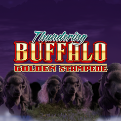 Thundering Buffalo Golden Stampede