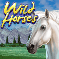 Wild Horses