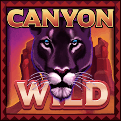 Canyon Wild